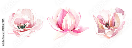  Watercolor painted set of light pink rose, peony and lotus flowers. Vector traced floral isolated illustration.
