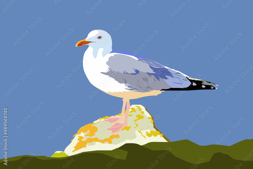 Fototapeta premium Seagull on a stone against the sky. Vector illustration. 