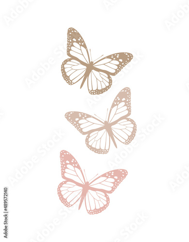Simple Hand Drawn Vector Illustrations with Three Pastel Pink and Light Brown Butterfies. Elegant Vector Print ideal for Wall Art, Poster, Card. Delicate Butterflies Isolated on a White Background.