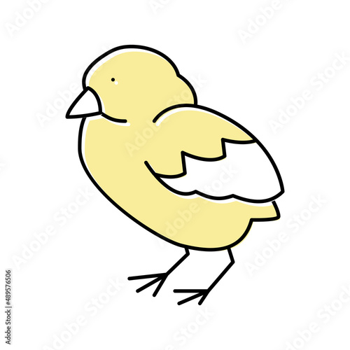chick bird color icon vector illustration