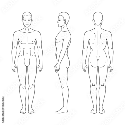 Man figure standing, silhouette, front, back and side view. Male body anatomy diagram. Vector illustration