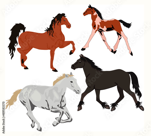 seamless pattern of a horse of different colors on a light background