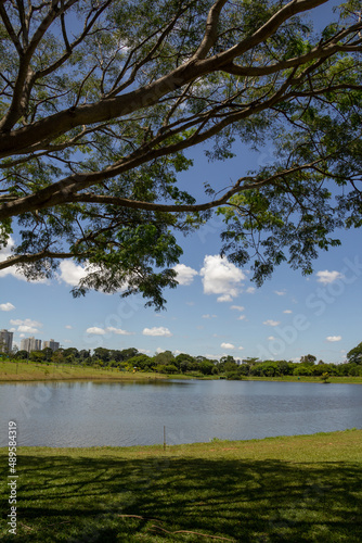 Paisagem de um parque muito arborizado e um lago  na cidade de Goi  nia. Parque Leolidio di Ramos Caiado.