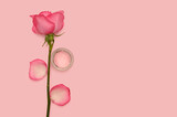Rose branch and rose petals. Cosmetic cream. On a pink background.
