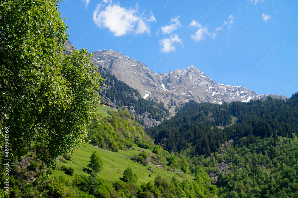 picturesque Italian Alps of the Partschins region of South Tyrol (Italy, South Tyrol, Merano)	