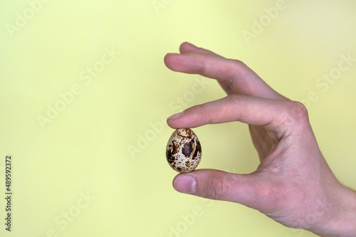 quail egg in a man's hand on a yellow background. The concept of healthy eating. Development of poultry farming and home farm. Copy space