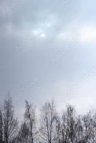 A heavy cloud blue gray sky with a full moon. Several silhouette of leafless trees below during a winter or spring