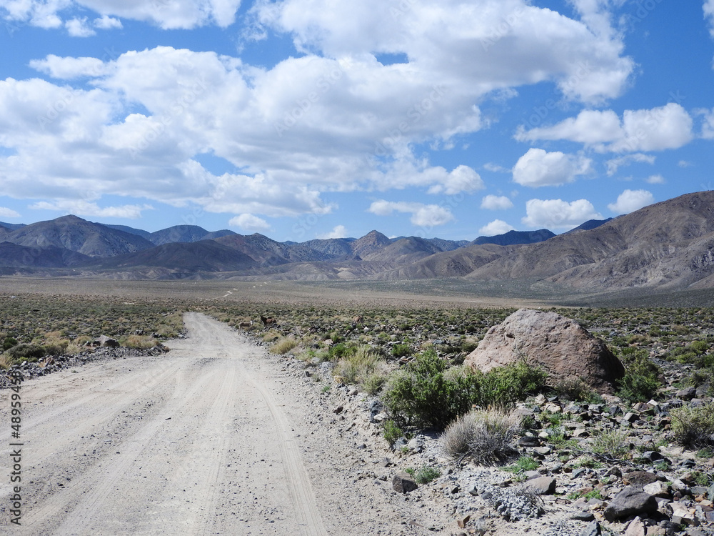 The beautiful desert scenery along an old dirt road that leads into Marietta, Nevada, in Mineral County.  