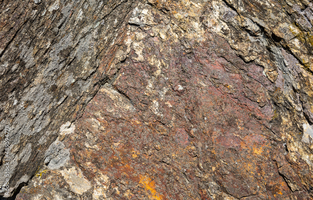 background of a stone surface with crustose Lichen background of a stone surface with crustose Lichen