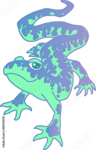 lizard gecko leopard vector isolated hand drawing