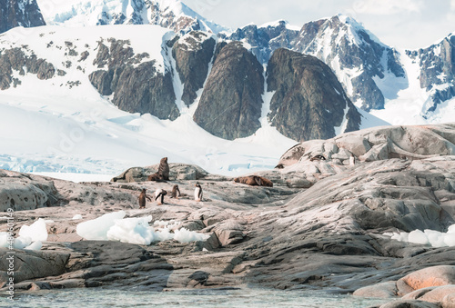 Antarctica, the White Continent 