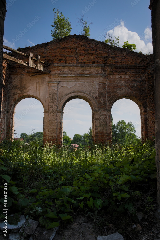 ruins of the castle