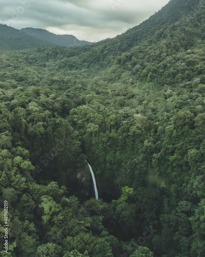 Jungles of Costa Rica