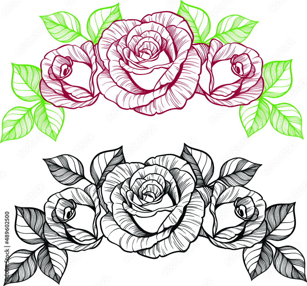 Rose Drawings With Color