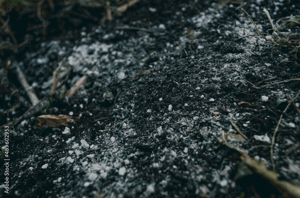 living soil