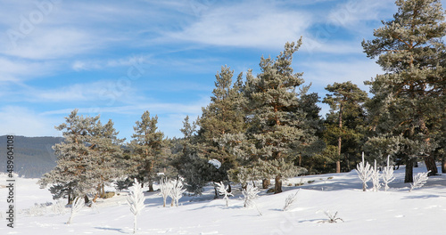 Snowy winter season, snow l...