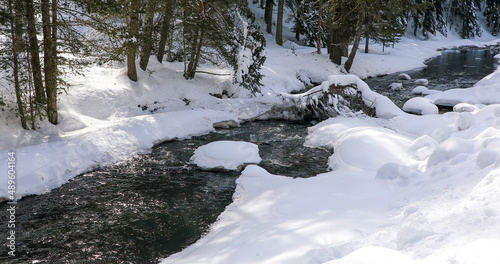 Stream view in forest in snowy winter season, Bolu - Turkey