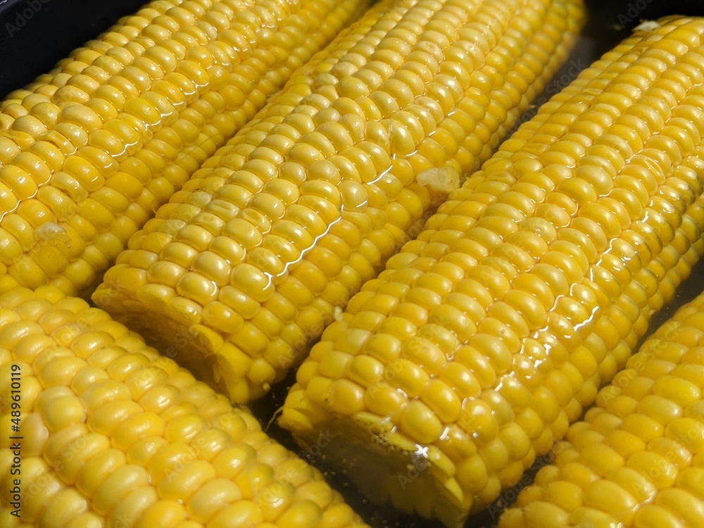 Sweet corn cob boiled in hot water. Vegetarian organic ripe food. Sweet corn cob boiled in hot water. Vegetarian organic ripe food.