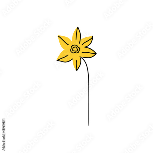 Cute handdrawn isolated yellow narcissus. Good for greeting cards, banners, invitations, flyers.