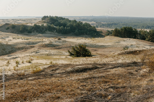 Panoramic view of the golden sand dunes of the Curonian Spit. The coastline of the Baltic Sea, forest belt, shrubs and grass on sand dunes.