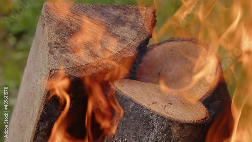Wallpaper Mural Oak wood fire in a Barbecue in ash and smoke Torontodigital.ca