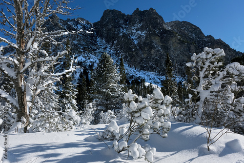 Beautiful snowy scenery with mountains in High Tatras near to Poprad Lake, Slovakia