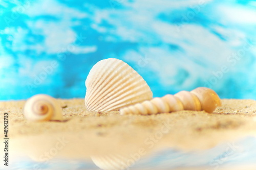 Three seashells lie on the sand against the backdrop of the sea. In the background is a blue sky. Close-up photo. has a place for your inscriptions