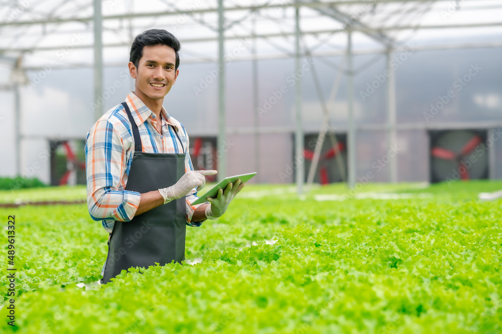 Happy Asian man farmer holding digital tablet to control hydroponic greenhouse vegetables salad farm Happy Asian man farmer holding digital tablet to control hydroponic greenhouse vegetables salad farm