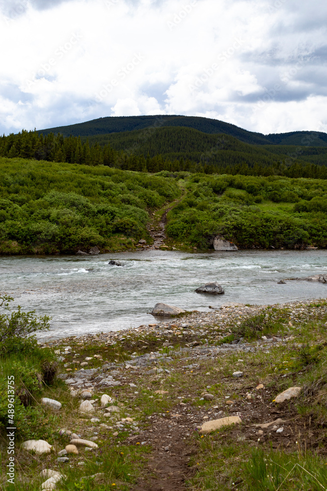 Fototapeta premium mountain river in the summer, green grass, flowing water, rock pebble shore, patch leading towards mountains