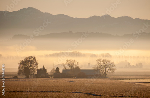 Misty Rural Farmland During Sunrise. Ground fog shrouds these fertile farmlands in the magnificent Skagit Valley of western Washington state. Home to the spring Skagit Valley Tulip Festival.
