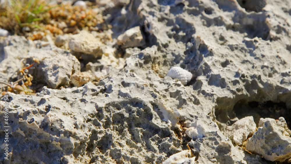 Ancient, jagged rocks formed by lava on the Caribbean island of Curacao. Close up panning shot Ancient, jagged rocks formed by lava on the Caribbean island of Curacao. Close up panning shot
