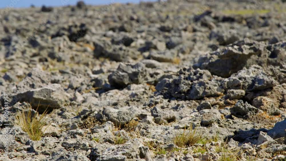 Lava rock formations of numerous shapes and sizes on the hot, dry ground in Curacao. Caribbean. Close up panning shot Lava rock formations of numerous shapes and sizes on the hot, dry ground in Curacao. Caribbean. Close up panning shot