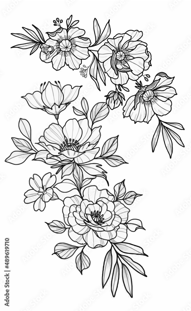 Rose Flower Drawing Aesthetic, Rose Beauty Vector Line art, Floral Line Art Hand Drawn Collection, Sketch Outline with Pastel Watercolor.