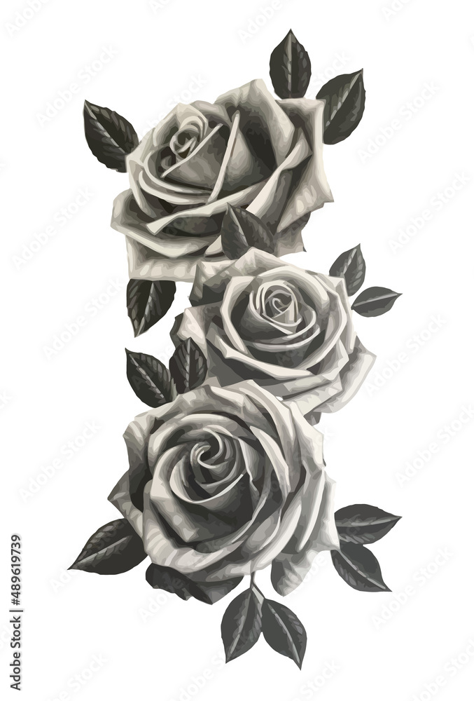 Rose Flower Drawing Aesthetic, Rose Beauty Vector Line art, Floral Line