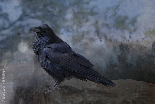 Mythic Raven