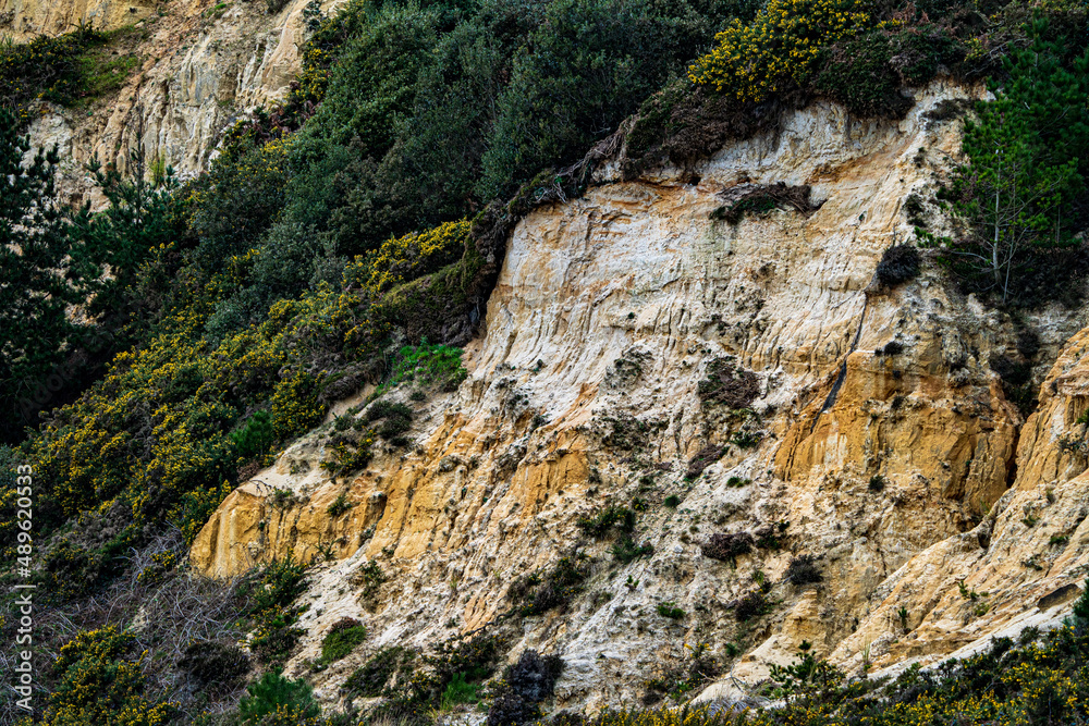 Sea Cliff Edge