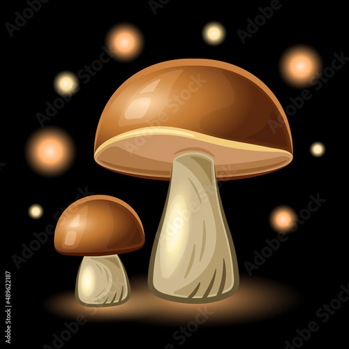 White mushroom Boletus edulis realistic cartoon isolated