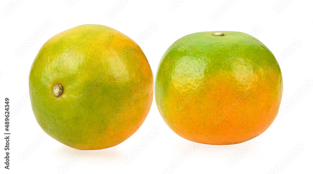 tangerine isolated on whtie background tangerine isolated on whtie background