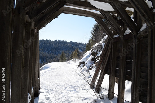 View out of abandoned railroad tunnel