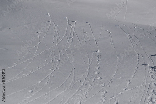 Multiple tracks in the snow created by tiny snowballs