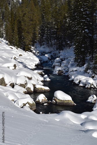 River running through trees and snow-covered rocks