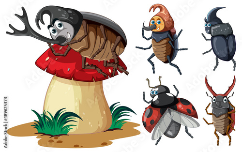 Set of different insects and beetles in cartoon style
