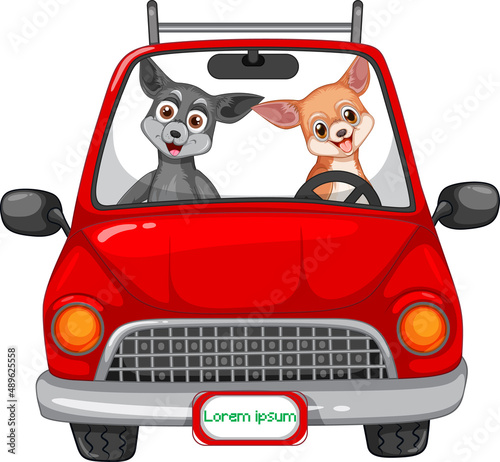 Two dogs driving in red car