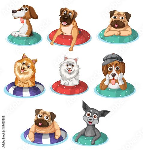 Cute puppy dogs  in rubber ring