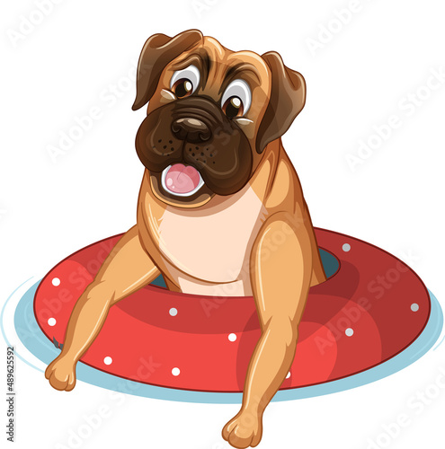 Cute puppy dog  in rubber ring