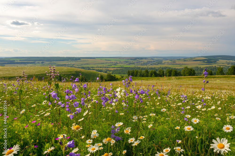 Summer landscape. View of the valley from the hill. Blooming meadow in the foreground. Summer landscape. View of the valley from the hill. Blooming meadow in the foreground.