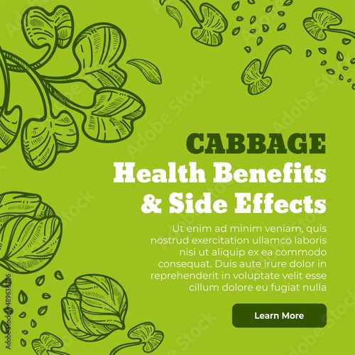 Cabbage health and benefits side effects vector