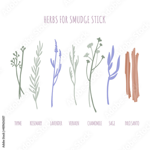Herbs and Palo Santo for smudge sticks set.