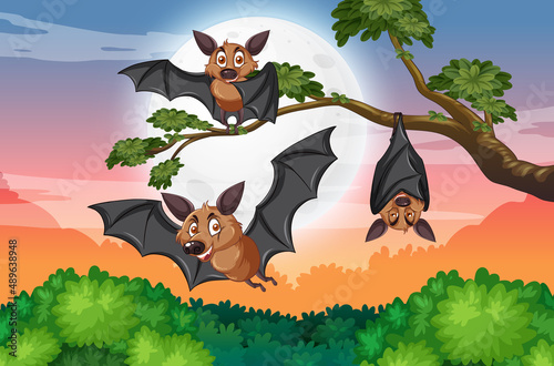 Group of bats in the forest at daytime