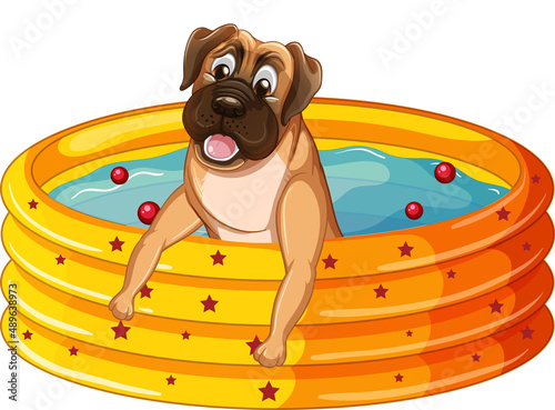 Cute puppy dog  in rubber swimming pool